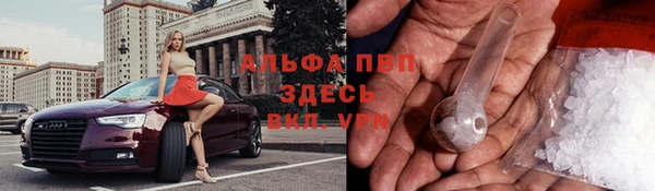 дмт Алзамай