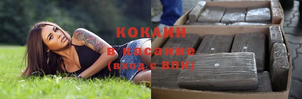 твердый Абаза