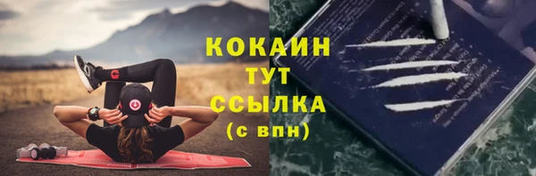 твердый Абаза
