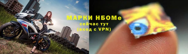 твердый Абаза